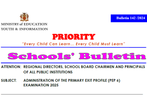 Cover_PRIORITY BULLETIN 142 – 2024 – ADMINISTRATION OF THE PRIMARY EXIT PROFILE (PEP 6) EXAMINATION 2025